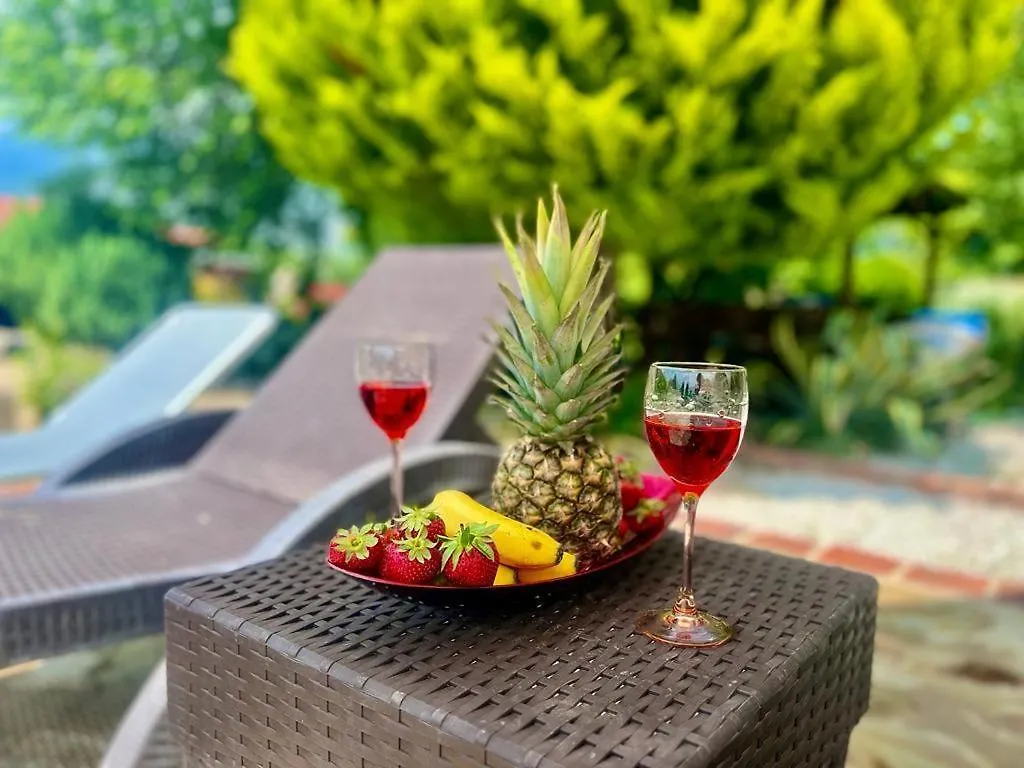 Villa Green Grapes Fethiye