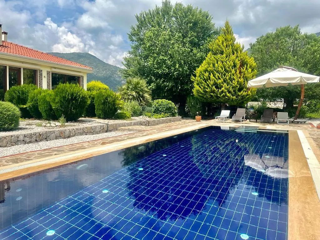 Green Grapes Fethiye Villa